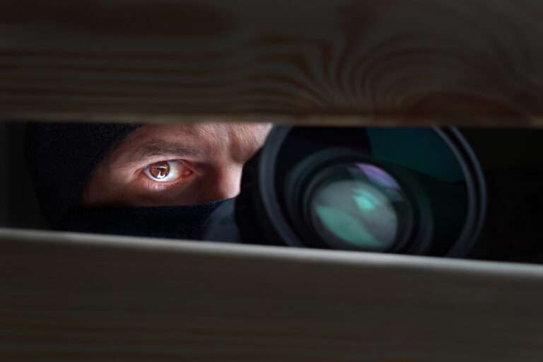 Private Investigator
